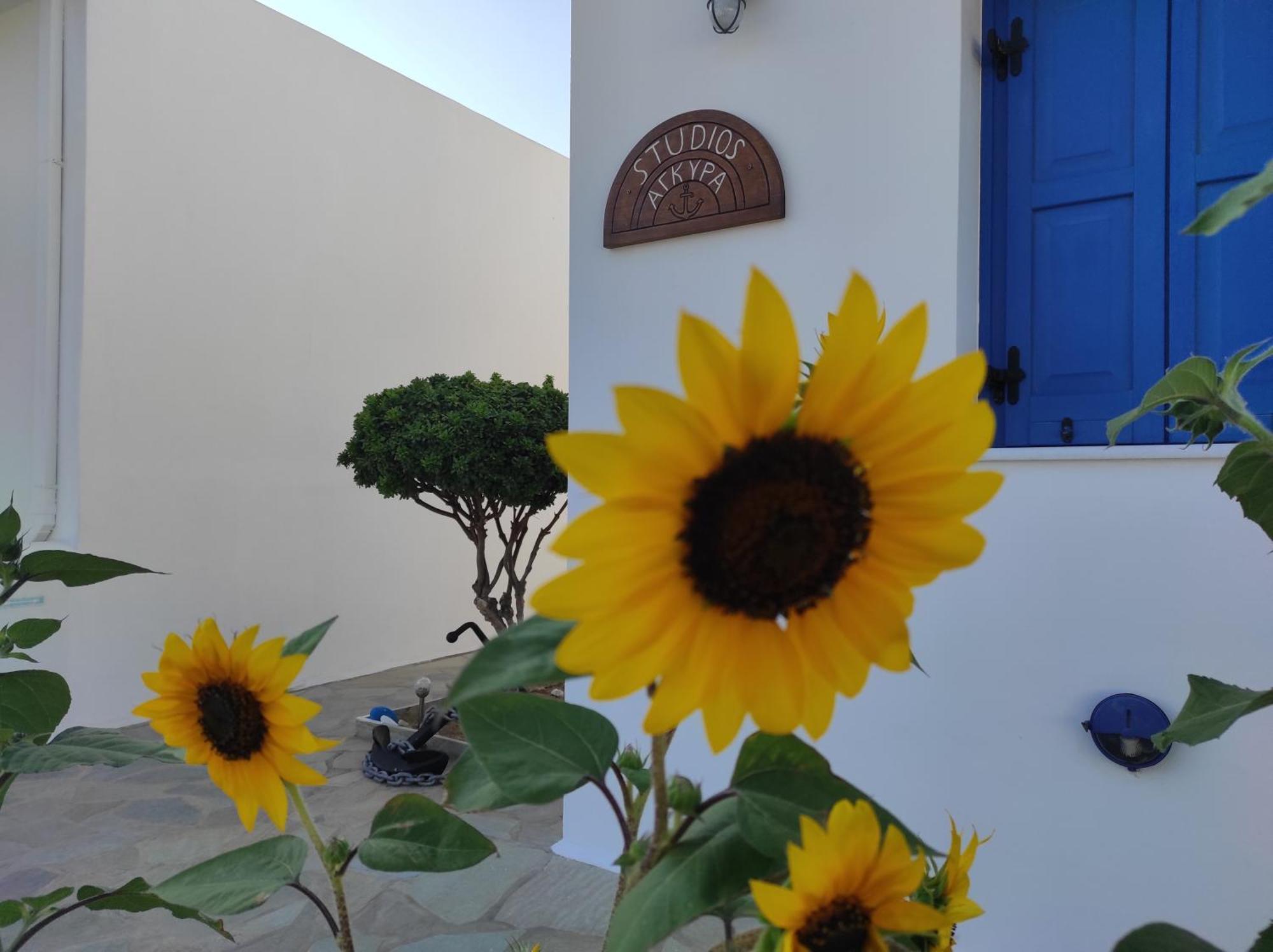 Studios Αγκυρα Livadi  Esterno foto