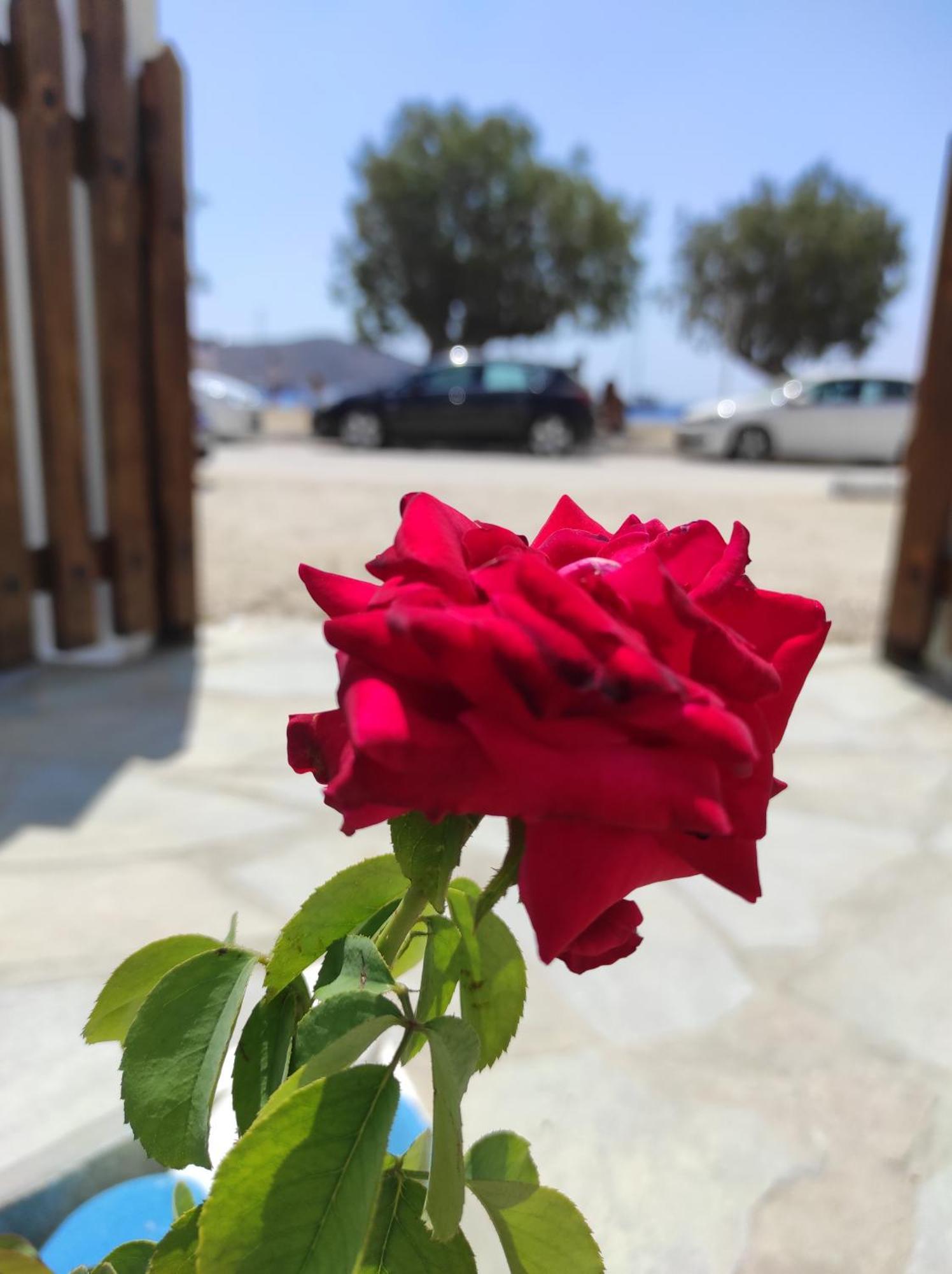 Studios Αγκυρα Livadi  Esterno foto